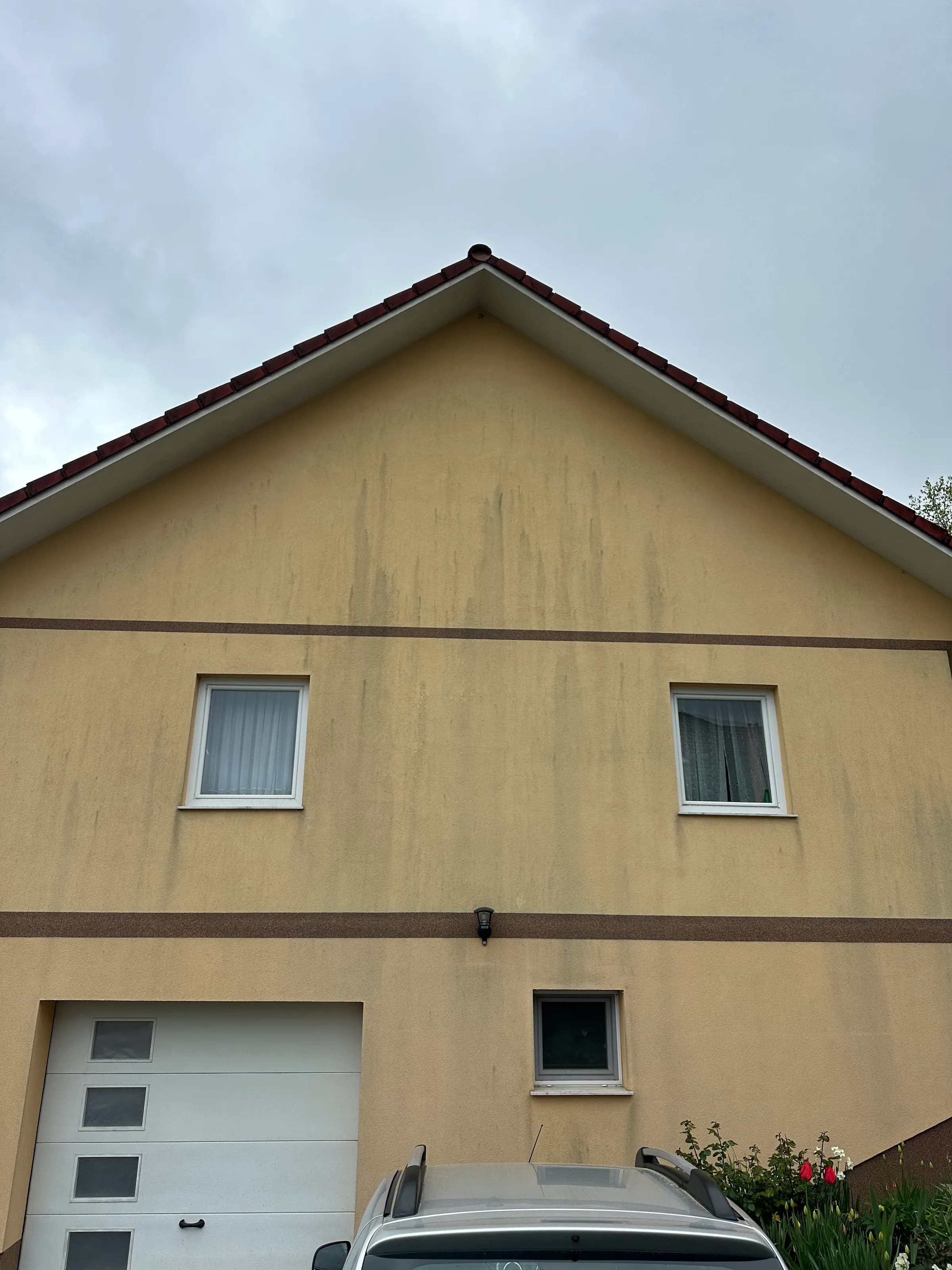 Rumena fasada z algami in temnimi sledmi pred čiščenjem